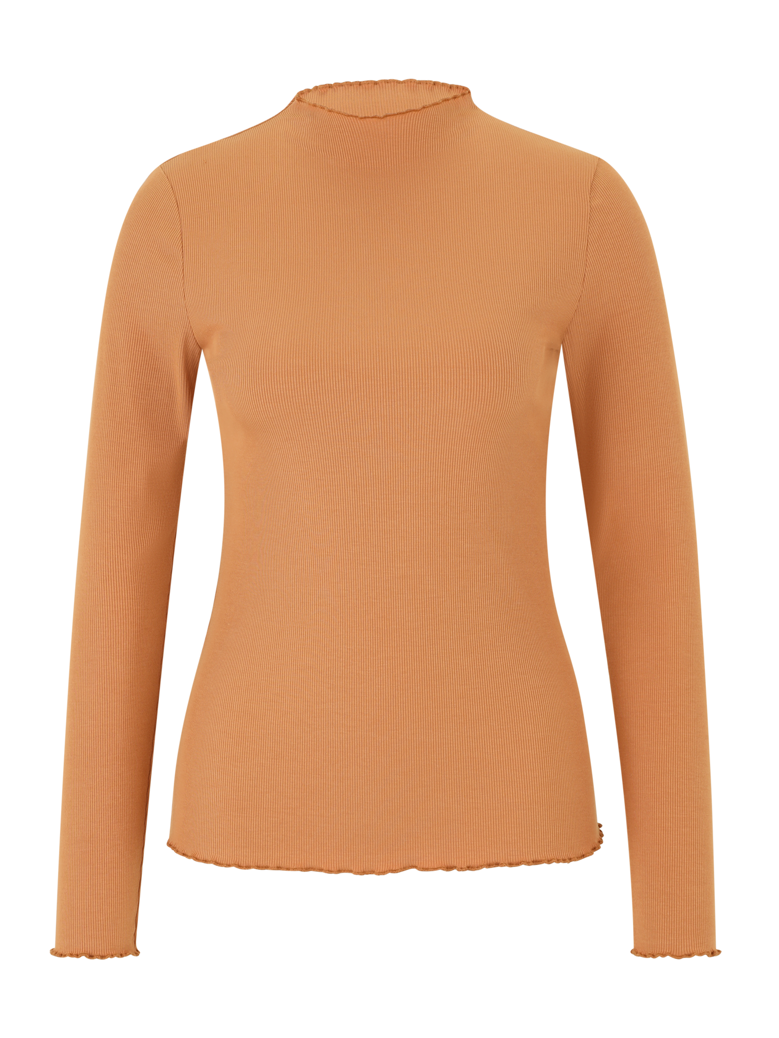 bundle-image:Biscuit